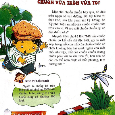 10 Vạn Câu Hỏi Vì Sao - Những Loài Và Vật Biết Bay