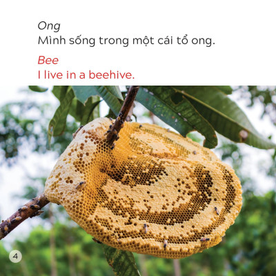 Song Ngữ Việt Anh - Khám Phá Thế Giới - Bạn Sống Ở Đâu Thế? - Where Do You Live?