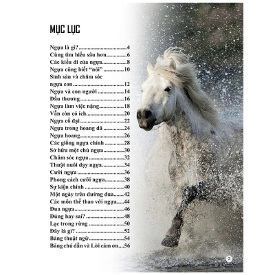 Bách Khoa Tri Thức Về Khám Phá Thế Giới Cho Trẻ Em - Horses And Ponies - Loài Ngựa