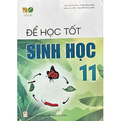 Sách - Để học tốt Sinh học lớp 11 (Kết nối tri thức với cuộc sống)
