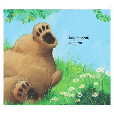 Cùng gấu khám phá -The Bear Books - Gấu to chuột nhỏ - Big bear, small mouse