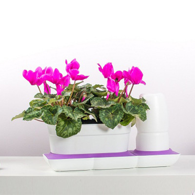 Bộ Chậu Trồng Cây Văn Phòng Thông Minh Tự Động Tưới Basic S Nhập Khẩu Châu Âu, Giúp Cây Phát Triển Tốt