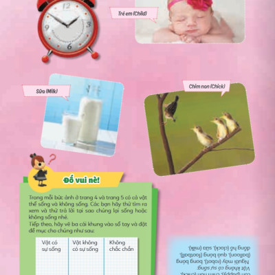 Sách - Học Vui Hiểu Rộng Biết Nhiều - Sinh Vật Sống