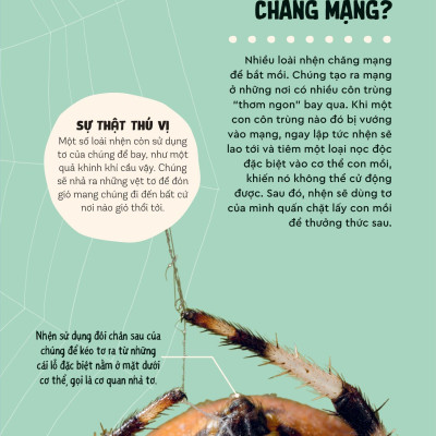 Bách Khoa Thư Britannica Dành Cho Trẻ Em - Cuốn Sách Khổng Lồ Giải Đáp 100++ Câu Hỏi Tại Sao Hóc Búa