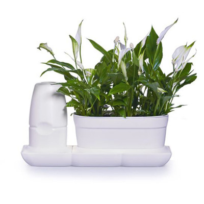 1 BỘ CHẬU TỰ DƯỠNG TRỒNG RAU BÍ XANH BASIC UNO NHẬP KHẨU BỒ ĐÀO NHA DÀNH CHO NGƯỜI BẬN RỘN NHƯNG YÊU THÍCH TRỒNG RAU TẠI NHÀ