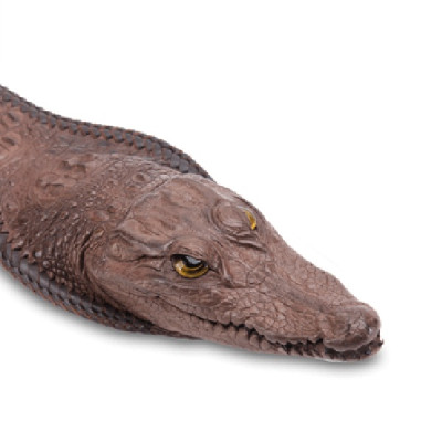 Thắt Lưng Nam Da Cá Sấu Nguyên Con Lớn Đầu Cá Sấu Huy Hoàng HT4232 - Nâu Đất