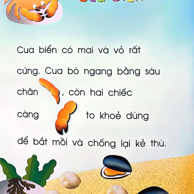 Vừa Học Vừa Chơi: Động Vật Dưới Biển - Sách Bóc Dán (Tái Bản 2020)