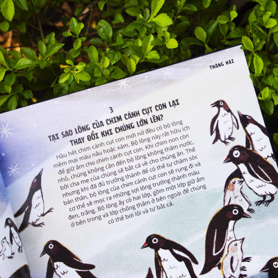 Sách - Everything Under The Sun - 366 câu hỏi lý thú của trẻ - Đinh Tị Books