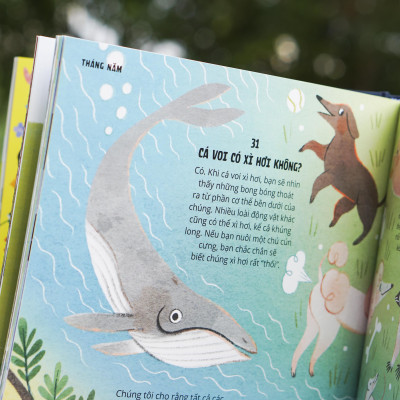 Sách - Everything Under The Sun - 366 câu hỏi lý thú của trẻ - Đinh Tị Books