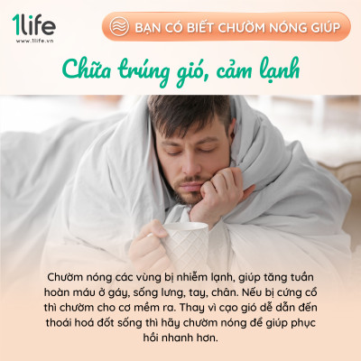Gối thảo dược mùi hương hoa oải hương & bạc hà 1LIFE
