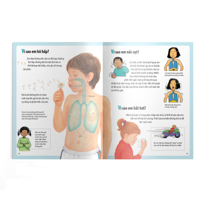 Em muốn biết vì sao (Bộ mới) - Bụng em sôi ùng ục và những câu hỏi khác về cơ thể