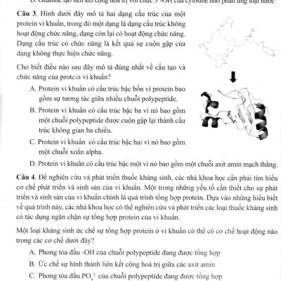 Di Truyền Học - Bài Tập Chuyên Đề_GDDT