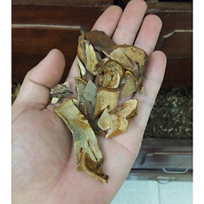 cây cẩu tích phơi khô thái lát