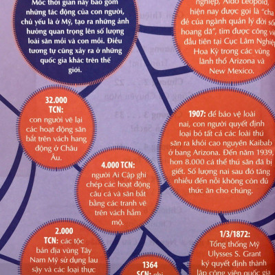 Khám Phá Săn Và Bị Săn Quang Học Cùng 25 Dự Án Tuyệt Vời