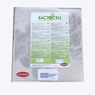 Men đường ruột cao cấp cho tôm cá BACTOCELL AQUA 10