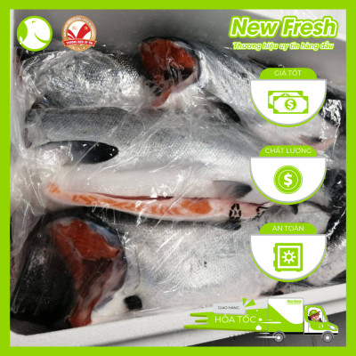 Cá Hồi Chile Nguyên Con Đông Lạnh Không Đầu Thơm Ngon Dinh Dưỡng | 1 Con ~ 4 - 4.5Kg