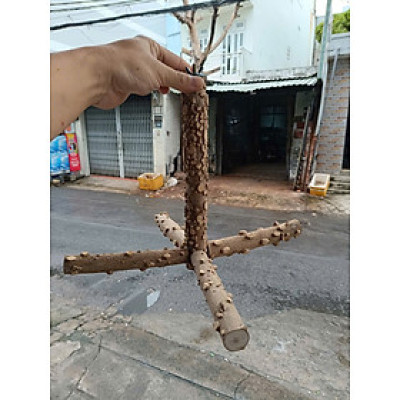 1 CÂY ĐẬU TREO LỒNG BẰNG GỖ GẠO (DẠNG CHỮ THẬP) DÙNG TREO TRONG LỒNG CHO CHIM, MỌI DÒNG VẸT ĐẬU
