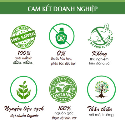 Tinh dầu Trầm Hương 100ml nguyên chất từ thiên nhiên, xông phòng, khử mùi, thơm phòng, đuổi muỗi - KingOil