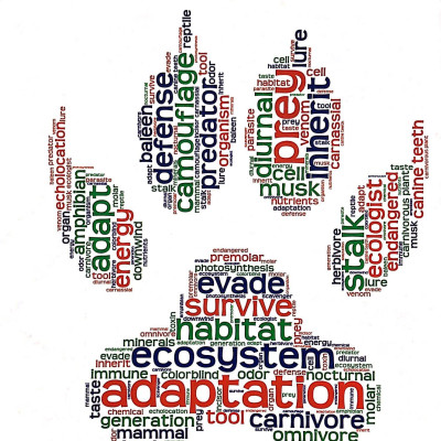 Khám Phá Săn Và Bị Săn Quang Học Cùng 25 Dự Án Tuyệt Vời