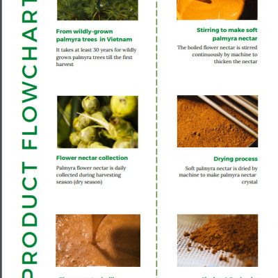 PALMANIA Mật thốt nốt hạt 1KG | Nguyên Chất, Tự Nhiên & Vì Sức Khỏe | Đặc sản An Giang