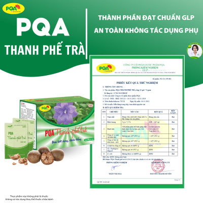 Thanh Phế Trà PQA Hỗ Trợ Giảm Ho, Đờm Và Đau Rát Họng Dùng Cho Người Bị Ho Do Thay Đổi Thời Tiết Hộp 25 Gói