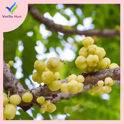 Chùm Ruột Rim Chua Ngọt VIETTINMART 250gam