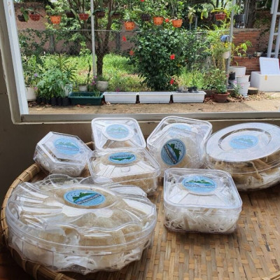 Yến sào thô 10g nguyên chất -  tăng cường đề kháng và cải thiện sức khỏe