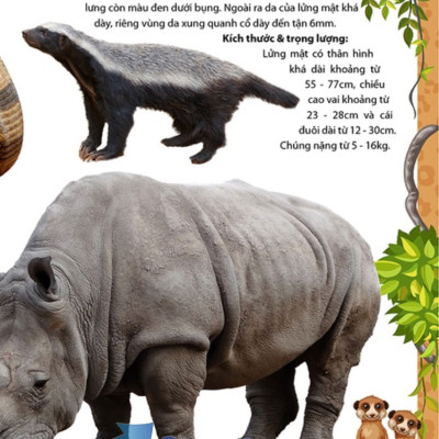 Khám Phá Thế Giới Động Vật 5 Châu - Châu Phi