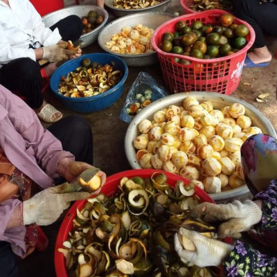 Tinh dầu Cam ngọt 100ml Mộc Mây - tinh dầu thiên nhiên nguyên chất 100% - chất lượng và mùi hương vượt trội