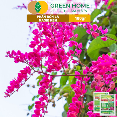 Phân Bón Lá Magie Kẽm, GreenHome, Gói 100GR, Chuyên Dùng Cho Hoa Kiểng