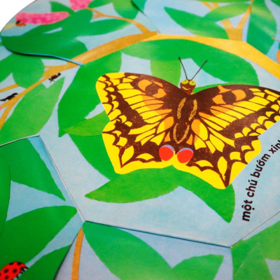 Vòng Đời Kỳ Diệu - Sâu Nhỏ Hóa Bướm