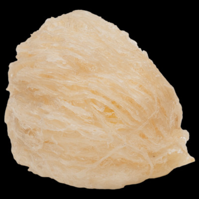 Tổ Yến Trắng Sơ Chế - Nhà Yến Nha Trang - Loại Chất Lượng 4.5 - Hộp 100 Gram - Tổ Yến Sơ Chế - Hàng Chính Hãng