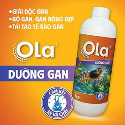 OLA DƯỠNG GAN: Phòng ngừa các vấn đề về gan, bổ gan tụy