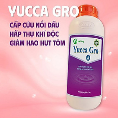 Hấp thụ khí độc ao tôm YUCCA GRO