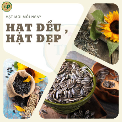 HẠT HƯỚNG DƯƠNG TÂN LỘC PHÁT HẠT ĐỀU GIÒN THƠM