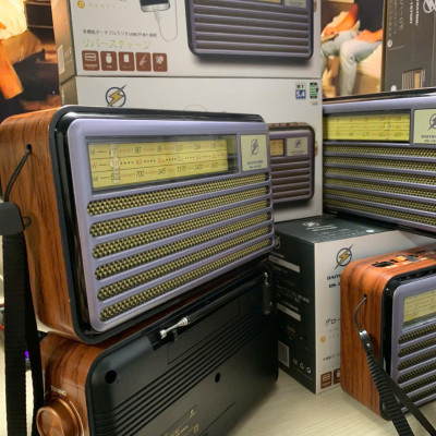 Đài Radio FM DS-1975BT Nhật-Kiểu Dáng Cổ Điển - Loa Bluetooth 5.4 Hỗ Trợ USB, Thẻ nhớ, Cáp sạc typeC - Hàng chính hãng