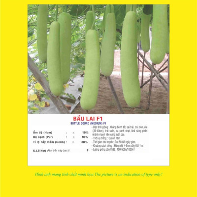Hạt giống bầu Lai F1 trái suôn dài năng suất cao VTP03