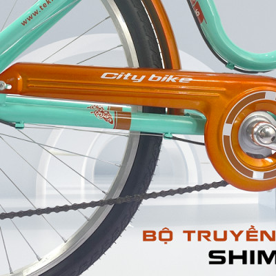 Xe đạp TEKKO C200S 26 inch, Khung thép cao cấp (Phù hợp với người cao từ 1m45 trở lên)