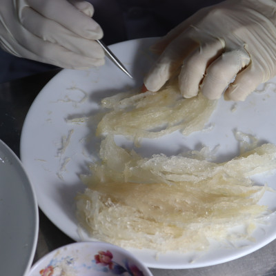 Tổ hồng yến tinh chế 50gr Đảo Yến Phú Quốc - tổ yến tinh chế nguyên chất 100% - Giúp tăng sức đề kháng cho trẻ nhỏ, bổ sung dinh dưỡng cho mẹ bầu