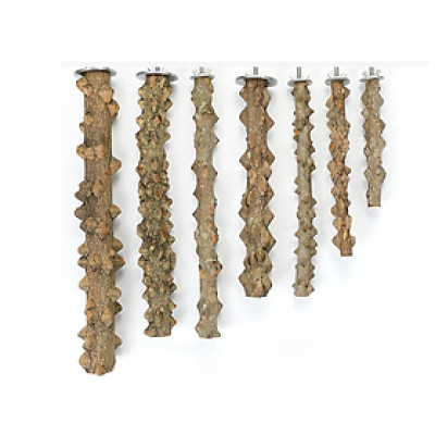 [HÀNG MỚI, RẺ, ĐẸP] 1 CÂY ĐẬU GỖ GẠO SIÊU CỨNG (CÓ PASS 1 ĐẦU) LẮP VÀO LỒNG CHO CHIM, MỌI DÒNG VẸT ĐẬU