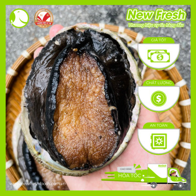 Bào Ngư Úc Viền Đen Đông Lạnh - Hộp 1Kg