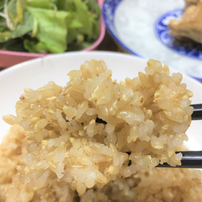 GẠO LỨT NHẬT KINNOIBUKI