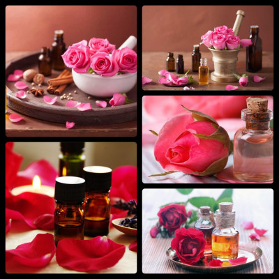 Tinh dầu hoa Hồng 10ml Mộc Mây - tinh dầu thiên nhiên nguyên chất 100% - chất lượng và mùi hương vượt trội