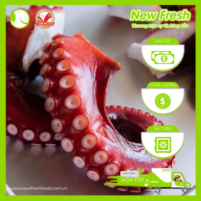 Râu Bạch Tuộc Tako Nhật Bản - Khay 1kg