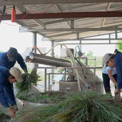 Tinh dầu Sả Chanh Organic 100ml Mộc Mây - tinh dầu nguyên chất từ thiên nhiên - Có kiểm định Bộ Y Tế, chất lượng và mùi hương vượt trội