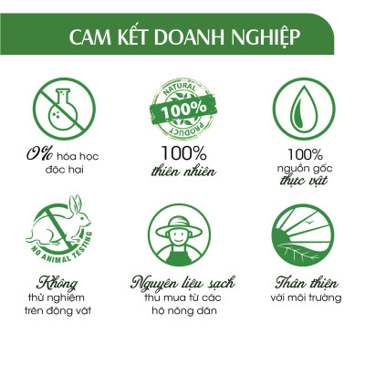 Xịt Phòng Tinh Dầu Sả Chanh Hữu Cơ Organic 24Care 50ML/100ML - Kháng khuẩn - Khử mùi hôi - Đuổi muỗi, kiến ba khoan,Vắt - Côn trùng - Hương thơm thư giãn.