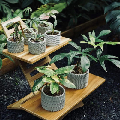 Chậu trồng sen đá , xương rồng, bonsai cây cảnh bằng xi măng Model Origami hình trụ tròn 11x8.5cm- Cement pots handmade Vintage / gift