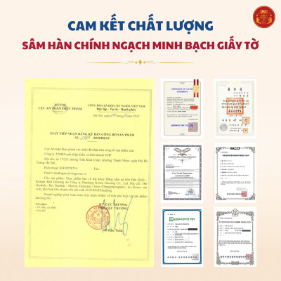 Hồng sâm củ khô dòng Premium 600gram (20 củ)