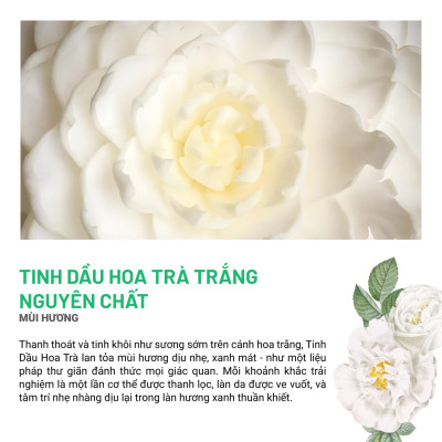 Gel Tẩy Da Chết Body Gừng Tràm Trà Heebee