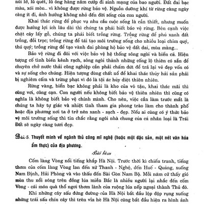 100 Bài Văn Hay 10